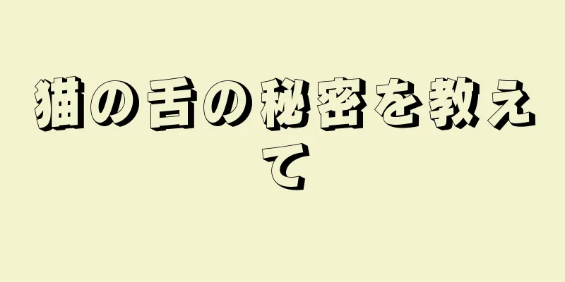 猫の舌の秘密を教えて