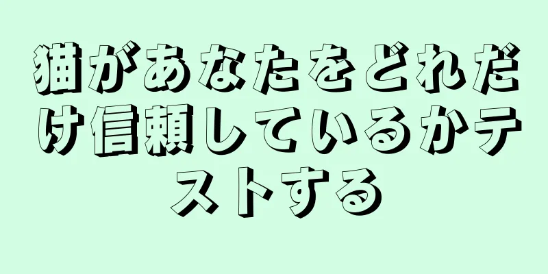 猫があなたをどれだけ信頼しているかテストする