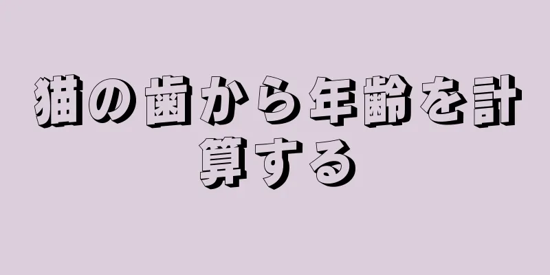 猫の歯から年齢を計算する
