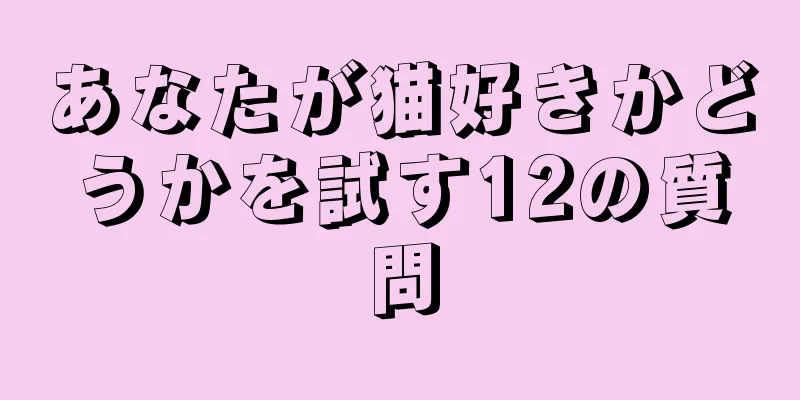 あなたが猫好きかどうかを試す12の質問