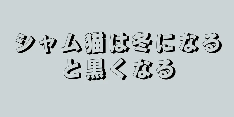 シャム猫は冬になると黒くなる