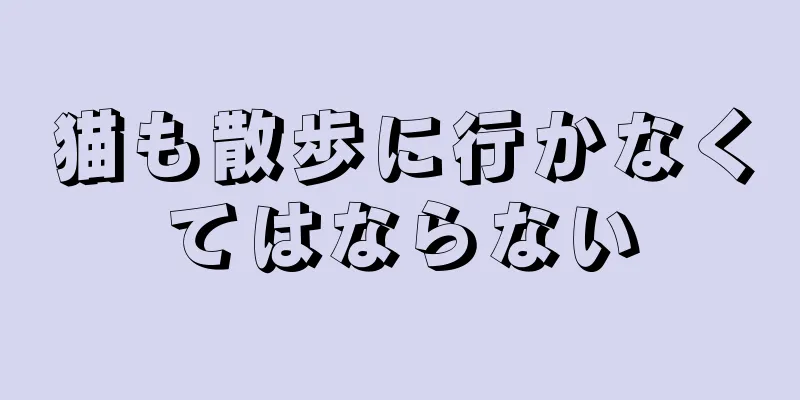 猫も散歩に行かなくてはならない