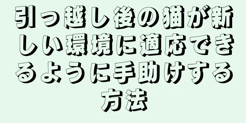 引っ越し後の猫が新しい環境に適応できるように手助けする方法