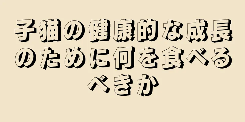 子猫の健康的な成長のために何を食べるべきか