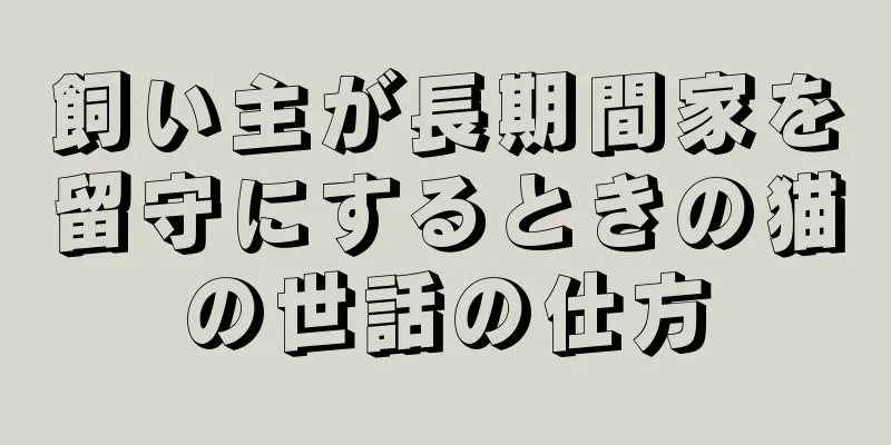飼い主が長期間家を留守にするときの猫の世話の仕方