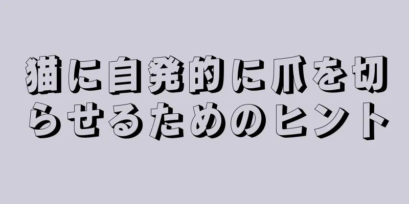 猫に自発的に爪を切らせるためのヒント