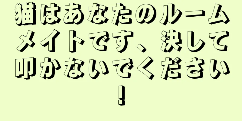 猫はあなたのルームメイトです、決して叩かないでください!