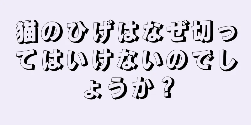 猫のひげはなぜ切ってはいけないのでしょうか？