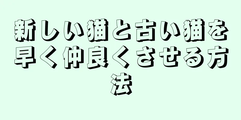 新しい猫と古い猫を早く仲良くさせる方法