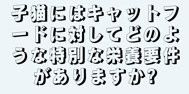 子猫にはキャットフードに対してどのような特別な栄養要件がありますか?