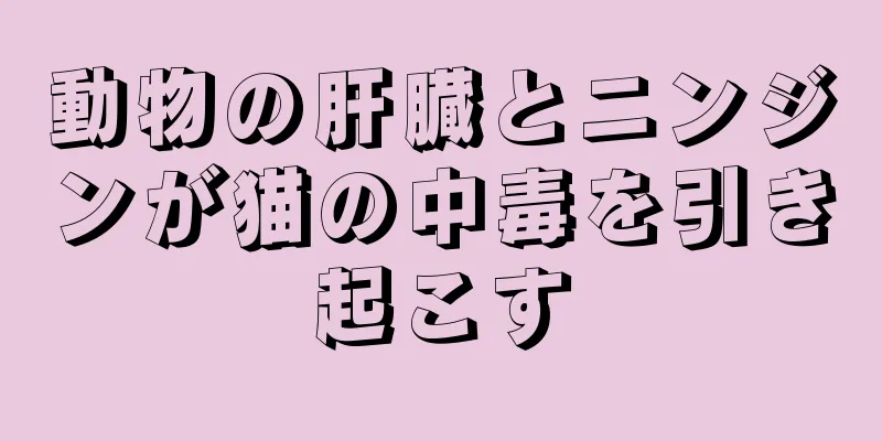 動物の肝臓とニンジンが猫の中毒を引き起こす