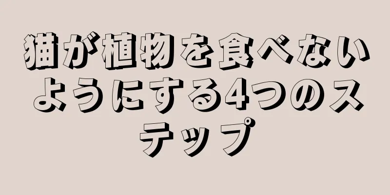 猫が植物を食べないようにする4つのステップ