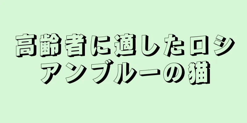 高齢者に適したロシアンブルーの猫