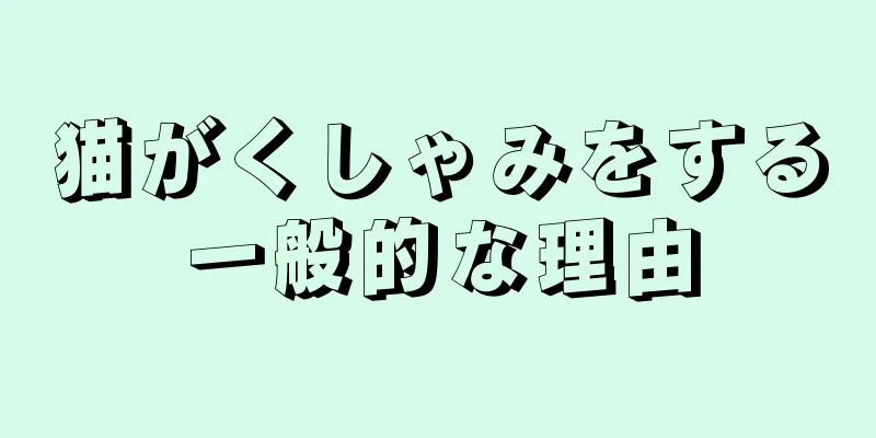 猫がくしゃみをする一般的な理由
