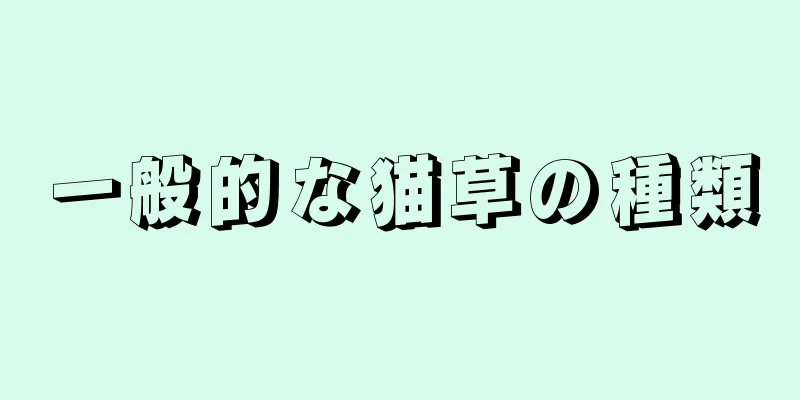 一般的な猫草の種類