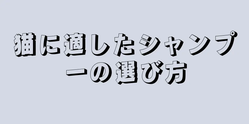 猫に適したシャンプーの選び方