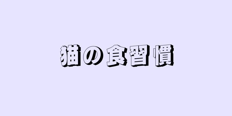 猫の食習慣