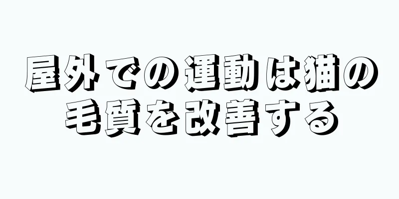 屋外での運動は猫の毛質を改善する