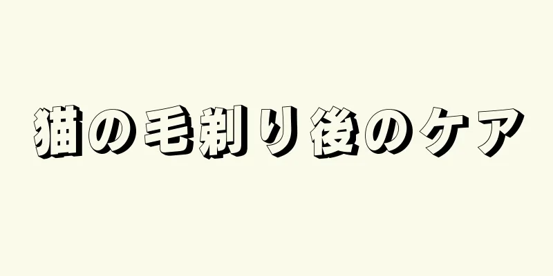 猫の毛剃り後のケア