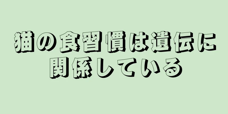 猫の食習慣は遺伝に関係している