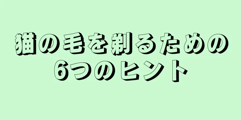 猫の毛を剃るための6つのヒント