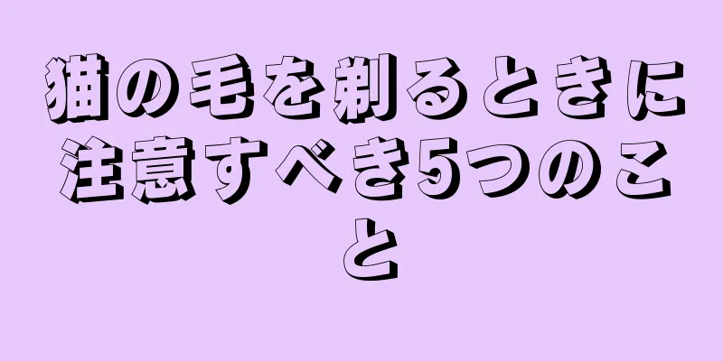 猫の毛を剃るときに注意すべき5つのこと