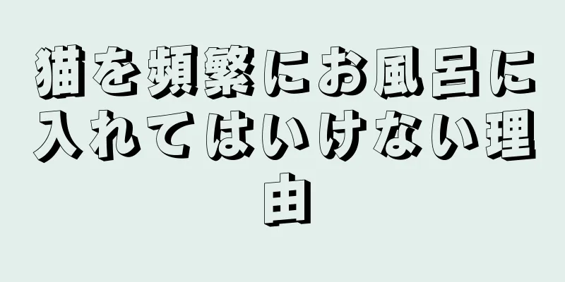 猫を頻繁にお風呂に入れてはいけない理由