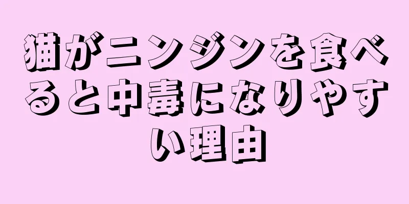猫がニンジンを食べると中毒になりやすい理由