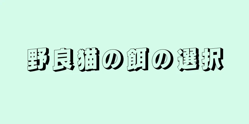 野良猫の餌の選択