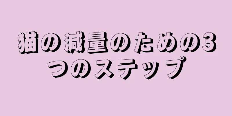 猫の減量のための3つのステップ