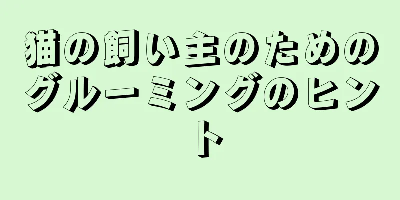 猫の飼い主のためのグルーミングのヒント