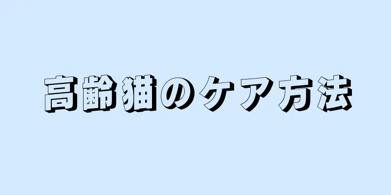 高齢猫のケア方法