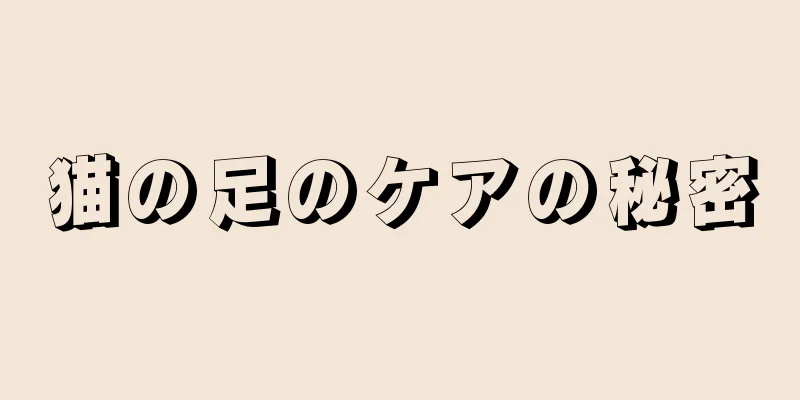 猫の足のケアの秘密