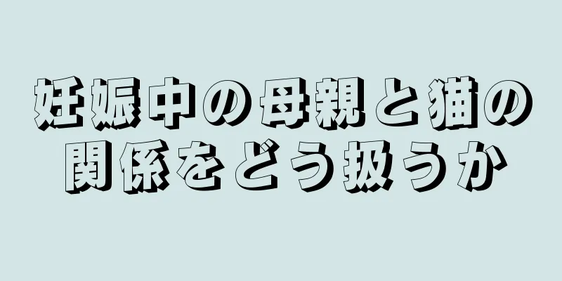 妊娠中の母親と猫の関係をどう扱うか