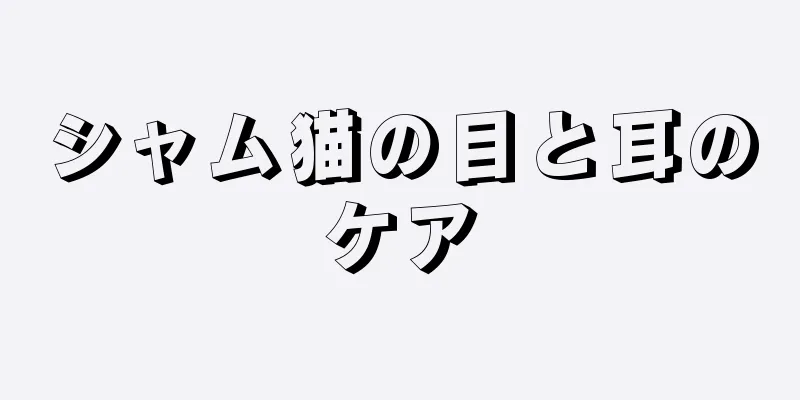 シャム猫の目と耳のケア