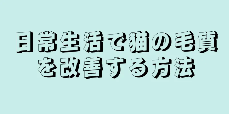 日常生活で猫の毛質を改善する方法