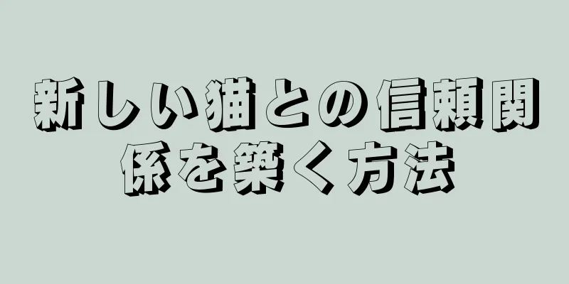 新しい猫との信頼関係を築く方法