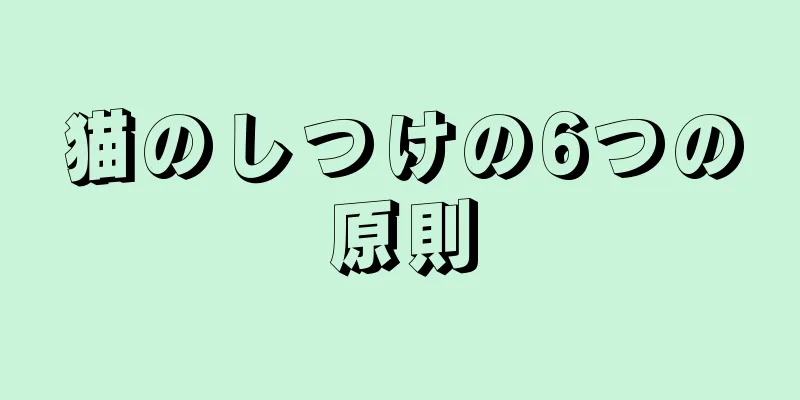 猫のしつけの6つの原則