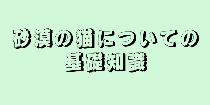 砂漠の猫についての基礎知識
