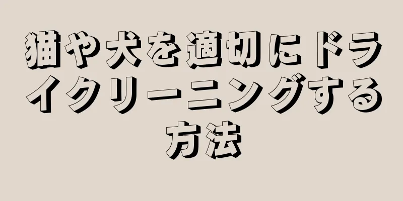 猫や犬を適切にドライクリーニングする方法