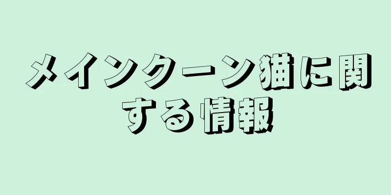 メインクーン猫に関する情報