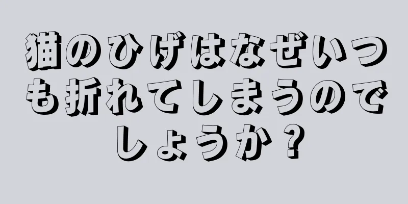 猫のひげはなぜいつも折れてしまうのでしょうか？