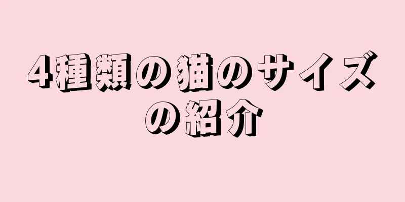 4種類の猫のサイズの紹介