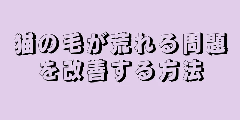 猫の毛が荒れる問題を改善する方法