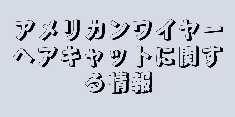 アメリカンワイヤーヘアキャットに関する情報