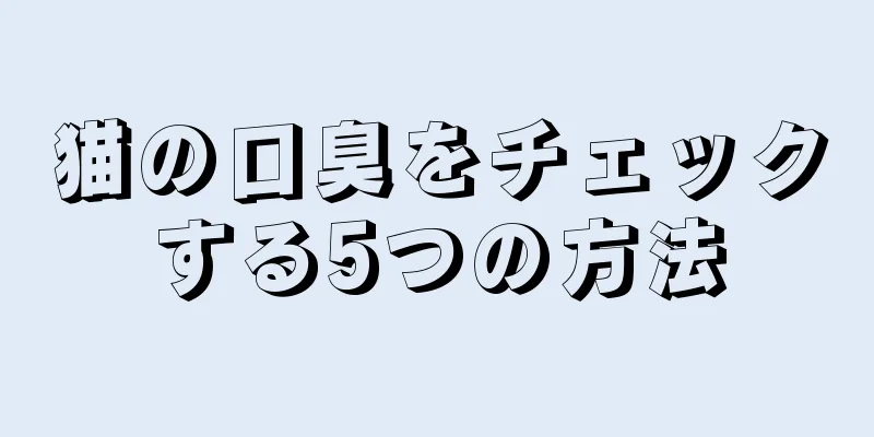 猫の口臭をチェックする5つの方法