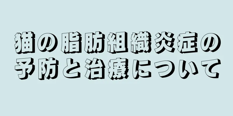 猫の脂肪組織炎症の予防と治療について