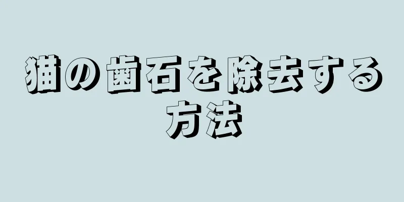 猫の歯石を除去する方法