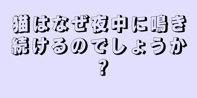 猫はなぜ夜中に鳴き続けるのでしょうか？