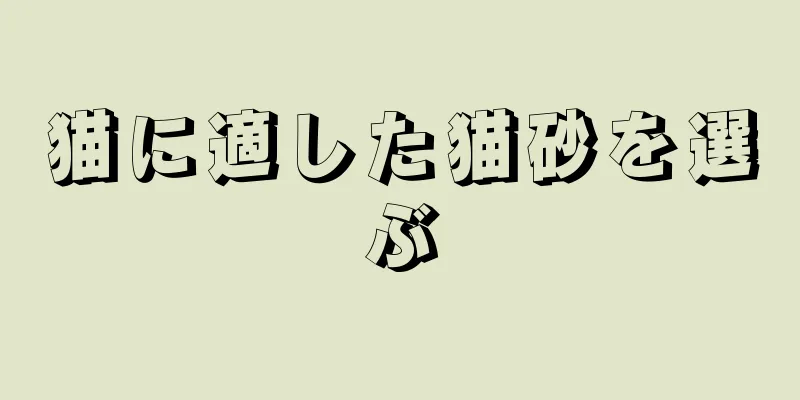 猫に適した猫砂を選ぶ